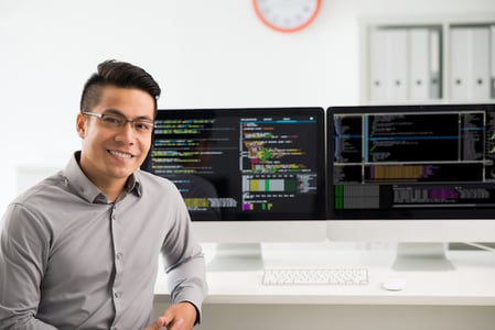 wordpress developer using wp_enqueue_scripts on his website