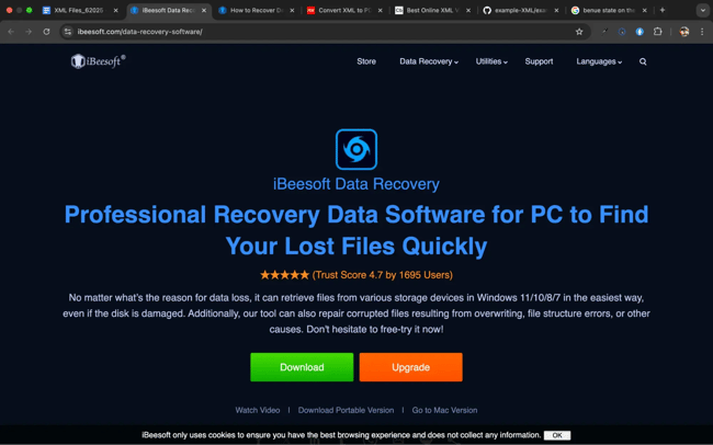 xml file ibeesoft data recovery