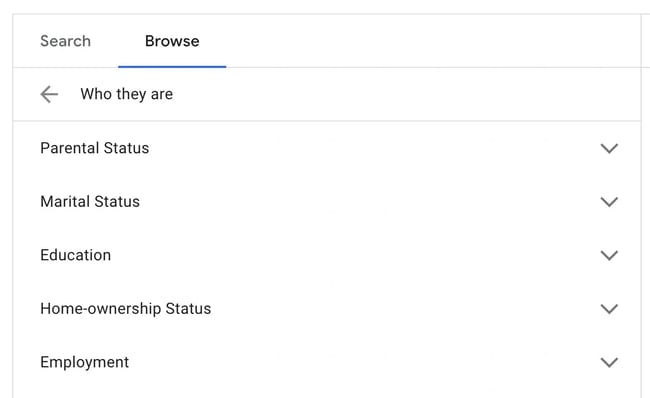 detailed demographics youtube ads