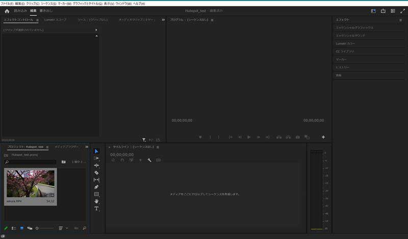 1件の動画データを読み込みました