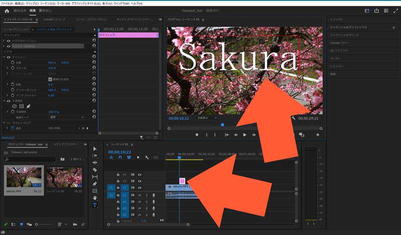 プログラムパネルの任意の箇所をクリックし、文字を打つと、テキストが挿入されます