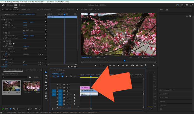 プレビュー位置がテキストの右側へ進むと、プログラムパネルのプレビューでも「Sakura」が消えている