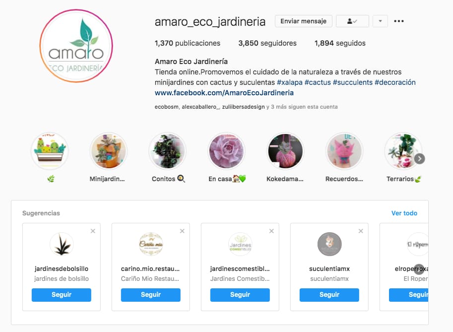 Marketing en Instagram: cuentas relacionadas