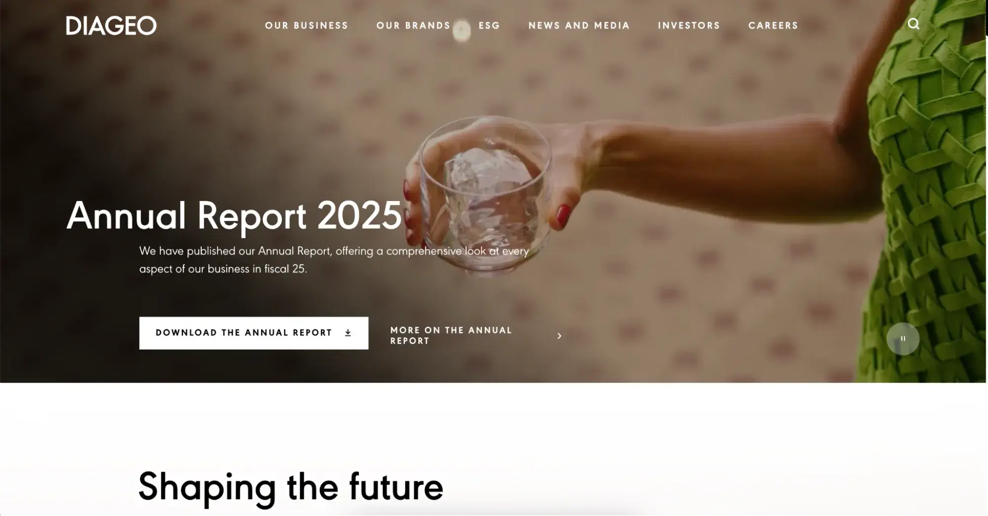 parent company website design diageo