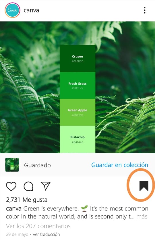 Colecciones de contenido en Instagram