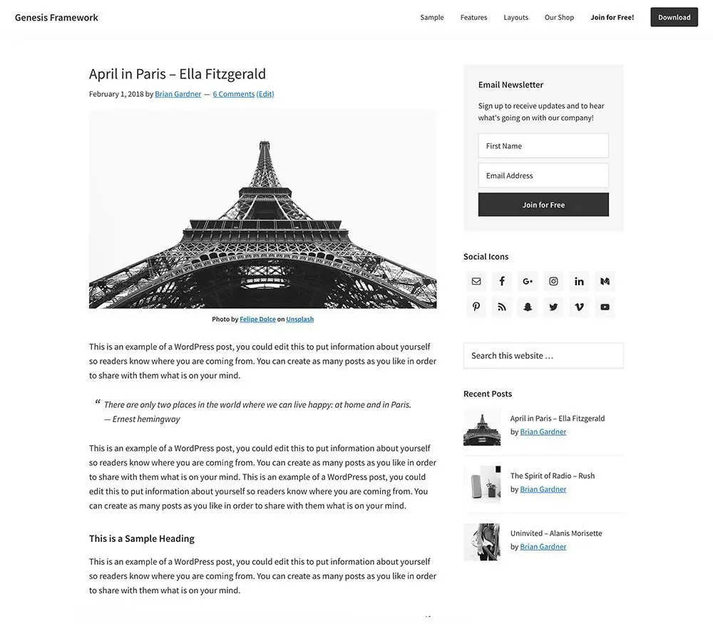 newspaper wordpress themes, News Pro