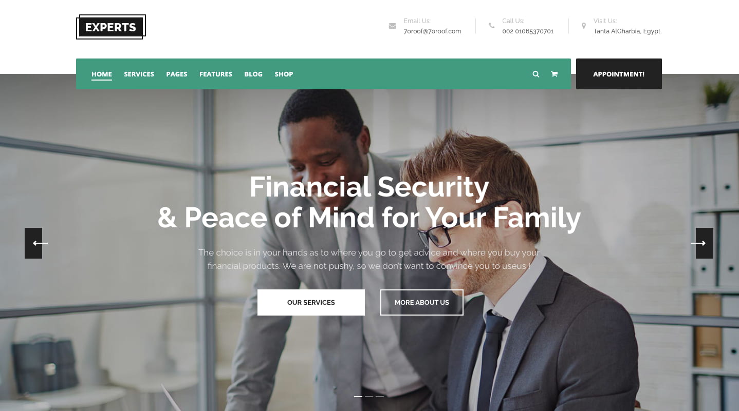 wordpress affiliate marketing theme; experts