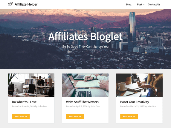 wordpress affiliate marketing theme; affiliates