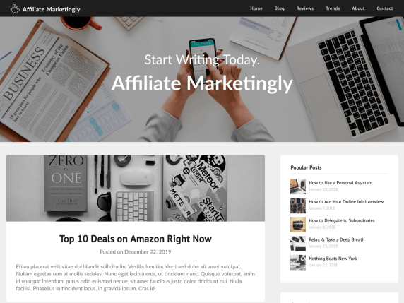 wordpress affiliate marketing theme; affiliate marketingly