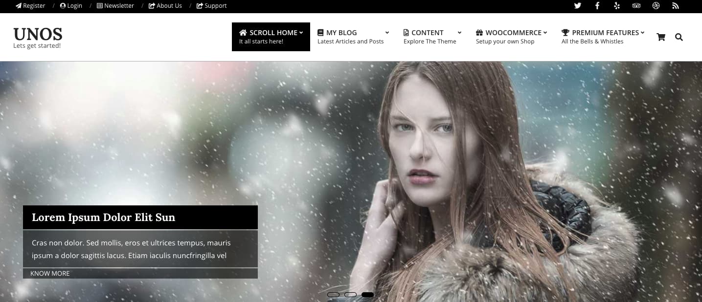 Small business WordPress themes, Unos