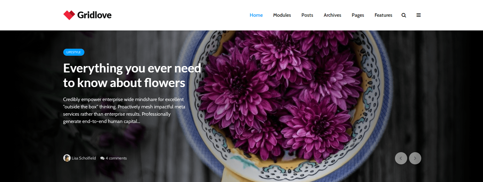 newspaper wordpress themes, Gridlove