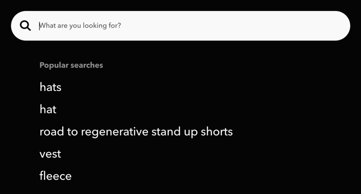 an example of autocomplete on Patagonias ecommerce site search