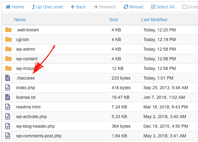 wordpress 500 error, htaccess file
