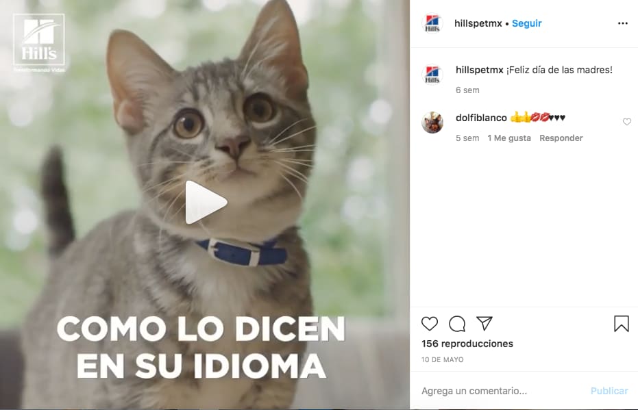 Marketing en Instagram: ejemplo de @hillspetmx