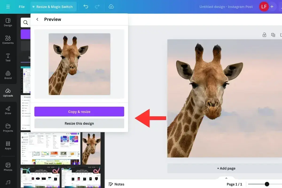 how to resize jpg & png files in canva: resize the image