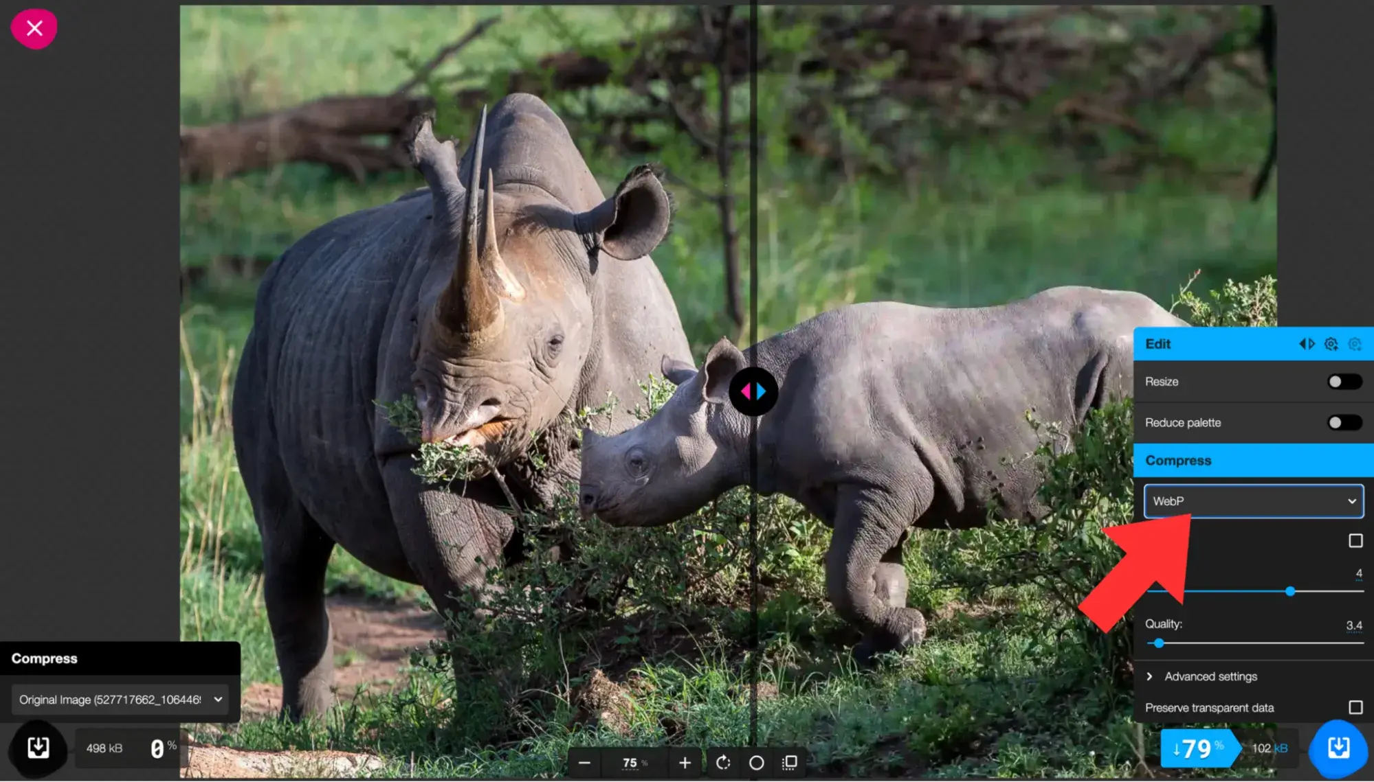 how to resize an image to 100kb: choose the right format