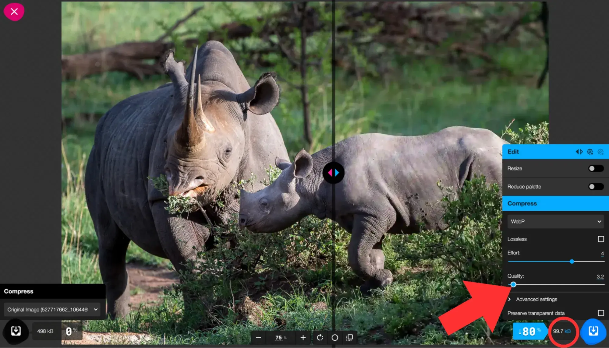 how to resize an image to 100kb: adjust compression settings