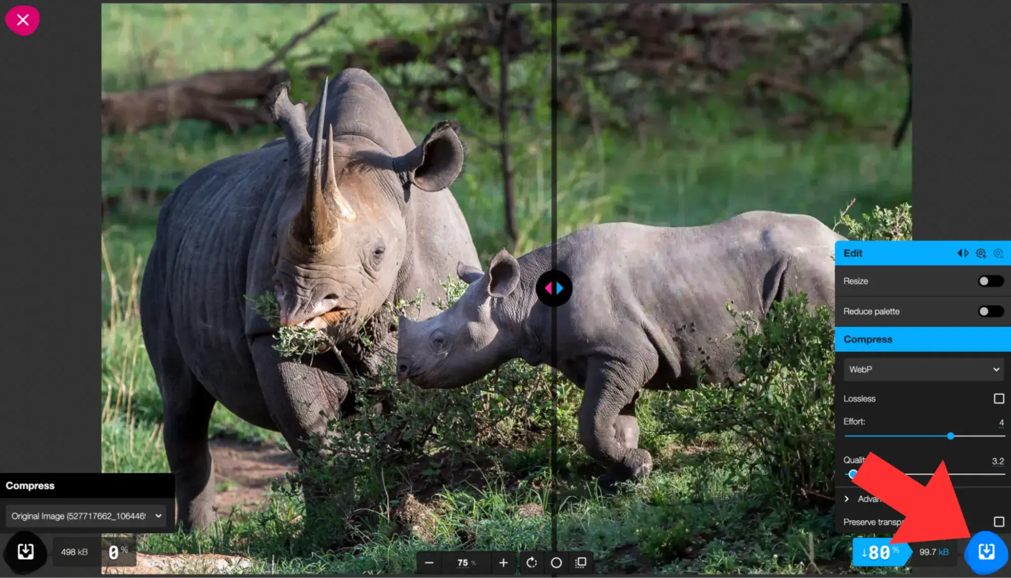 how to resize an image to 100kb: download