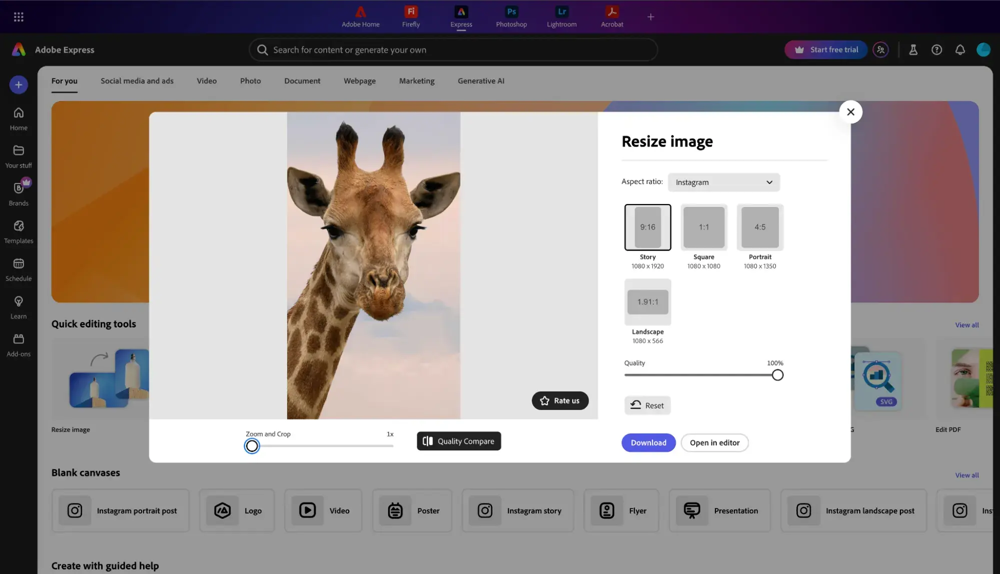 how to resize an image: adjust your image