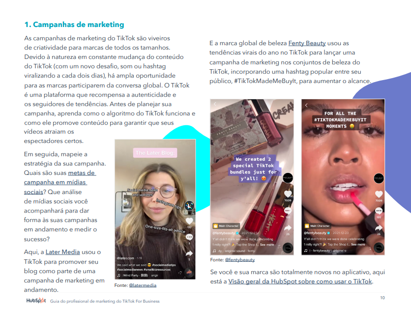 tiktok para profissionais de marketing e-book