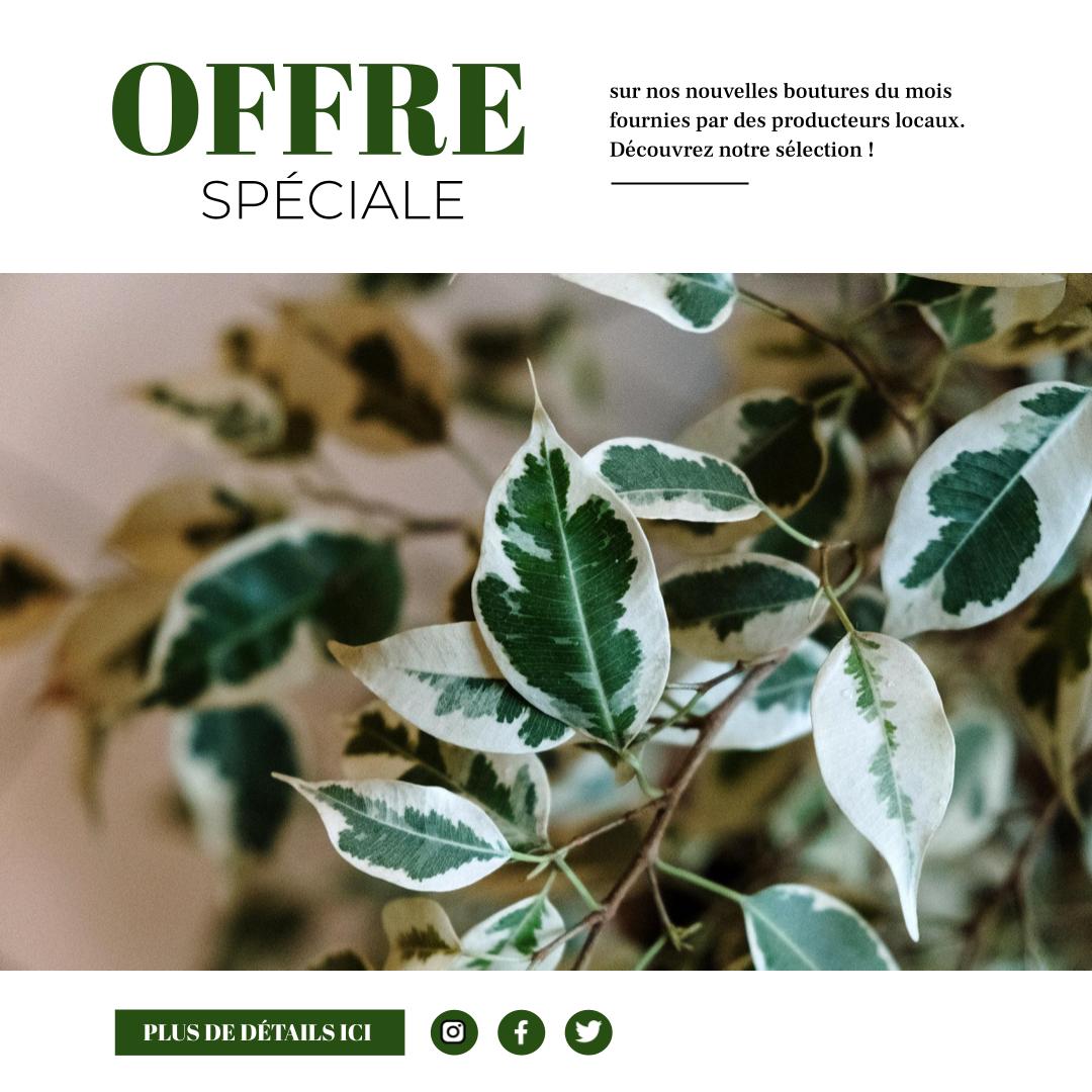 Modèles de publications Instagram3