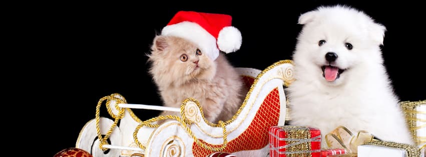 Portada de Facebook de mascotas navideñas