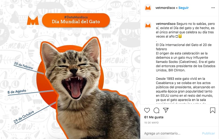 Marketing en Instagram: ejemplo de publicación de @vetmordisco