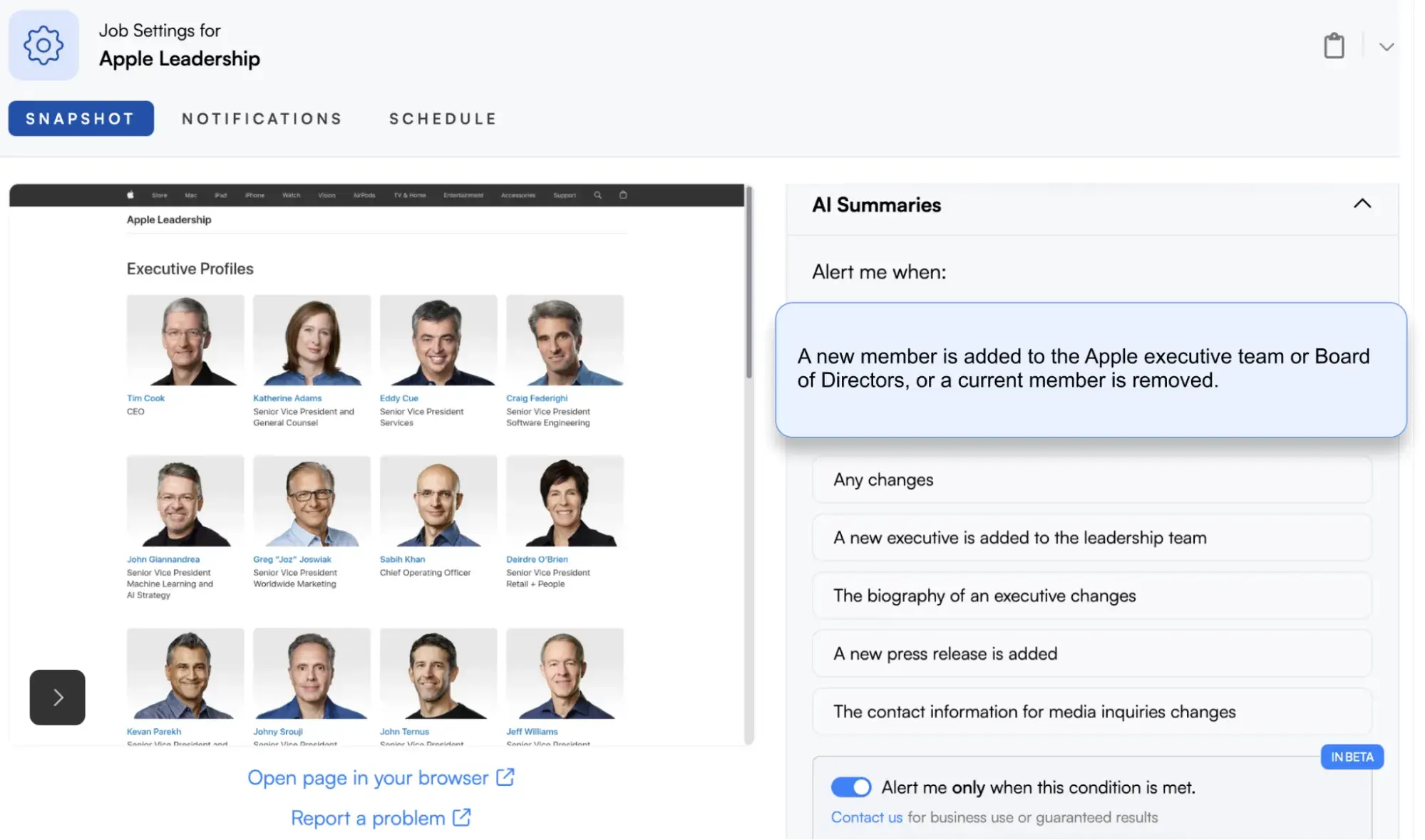the job settings page for in the visualping tool