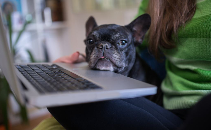 Como trabalhar em casa: 27 dicas de pessoas que fazem isso com sucesso