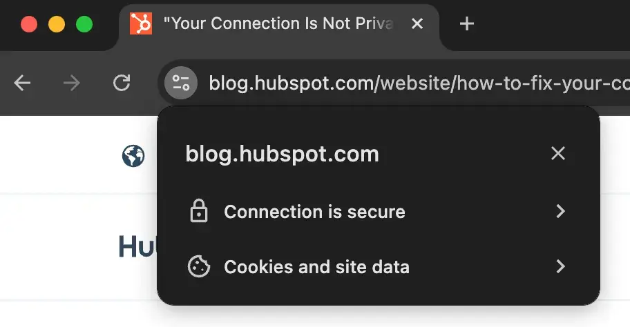 browsers URL bar displaying URL /website/how-to-fix-your-connection-is-not-private and website info menu in Chrome browser