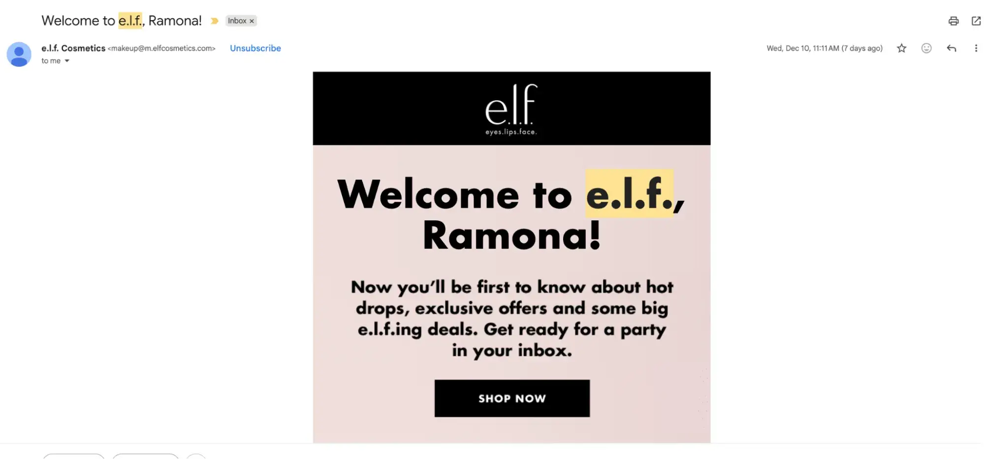 ai personalization in marketing,e.l.f. email marketing content