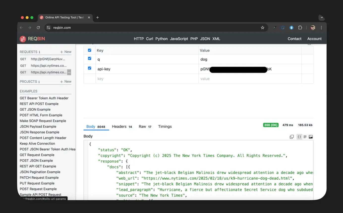 test api calls: send request with api key