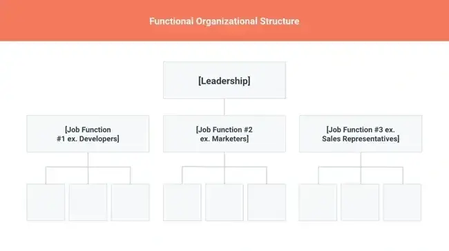 types of organizational structure
