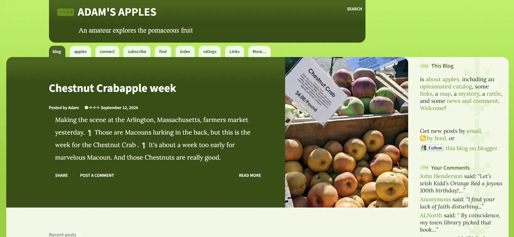 Best blogging platform example: Blogger and Adams Apples