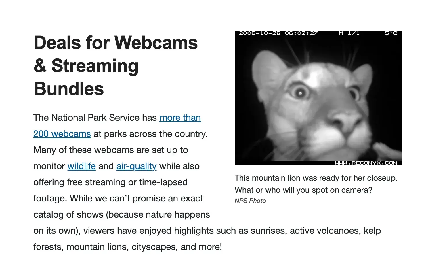 Screencap of National Park Service websites Deals for Webcams & Streaming Bundles with a close-up webcam photo of a mountain lion. 