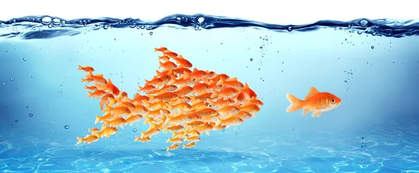 19 Brands with a Cult Following (And What You Can Learn From Them)