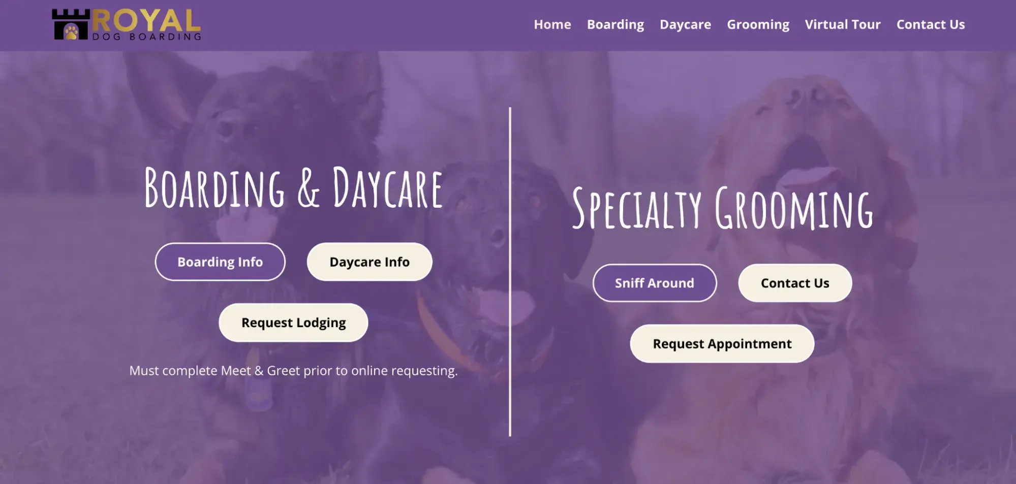 brochure website example: royal dog boarding homepage inviting visitors to explore their services