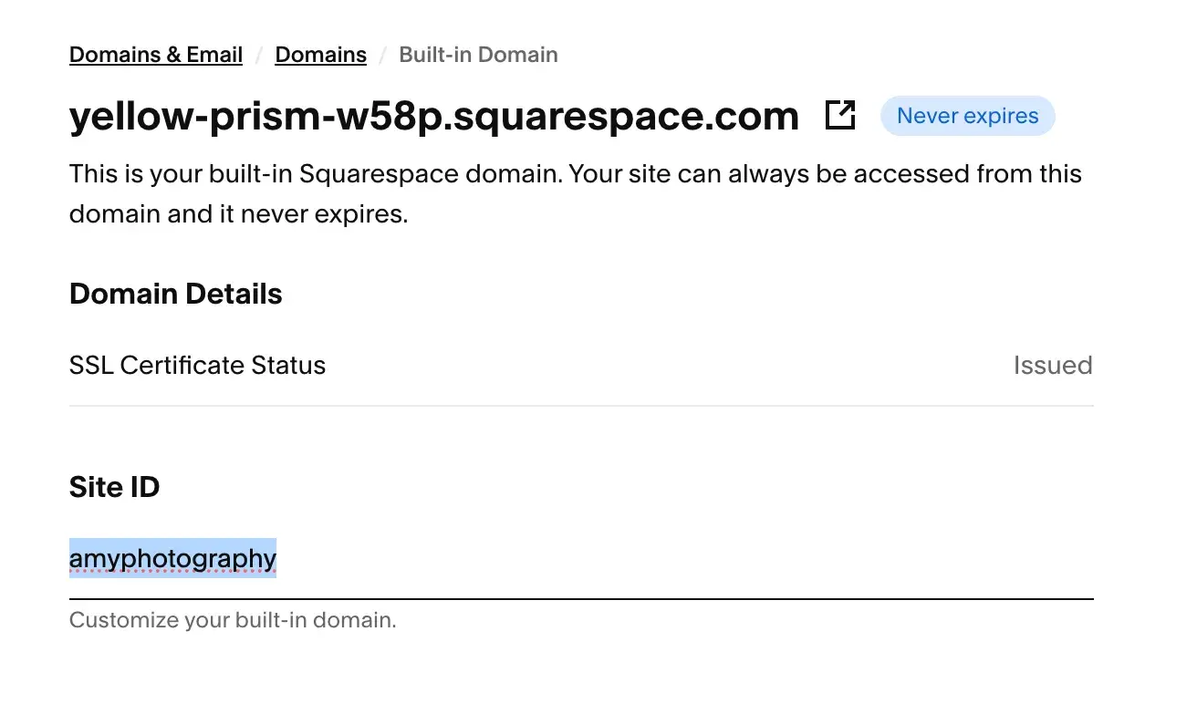 squarespace’s automatically generated branded subdomain getting changed to “amyphotography”