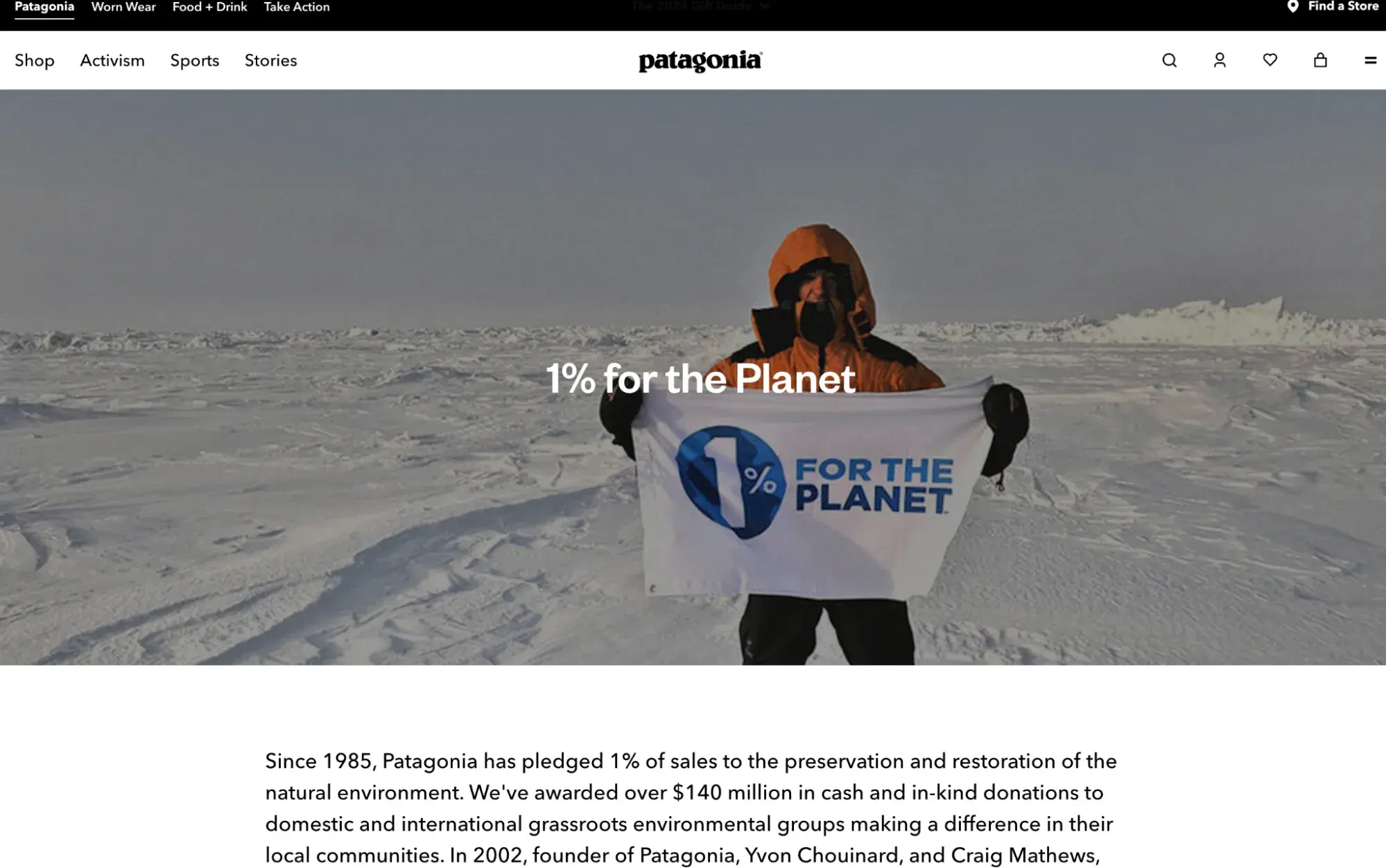 patagonias commitment to ecology