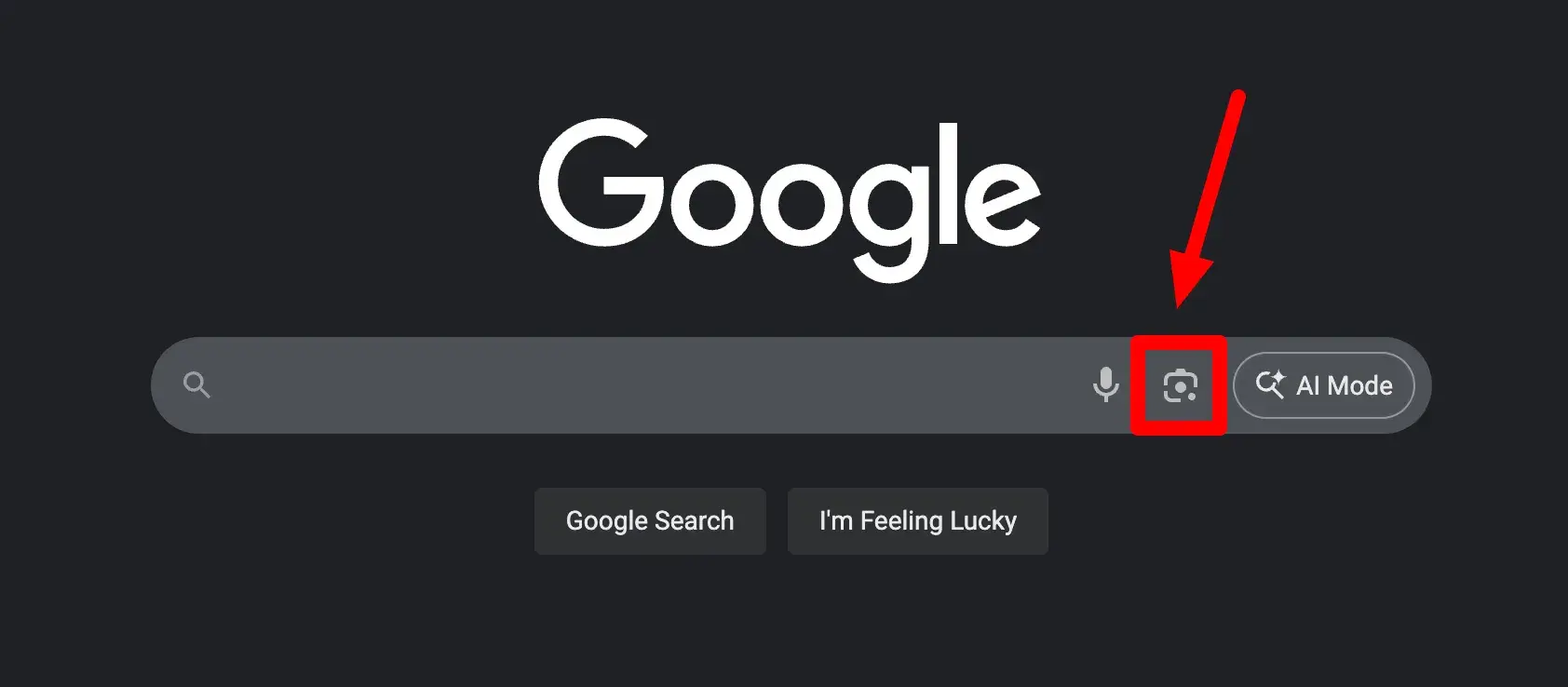 screenshot of the google homepage pointing out the visual search icon.