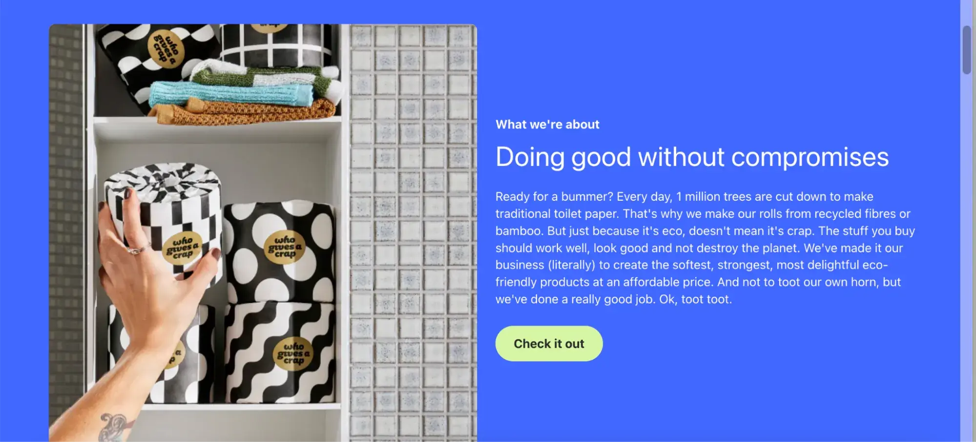 who gives a crap  about us copywriting examples