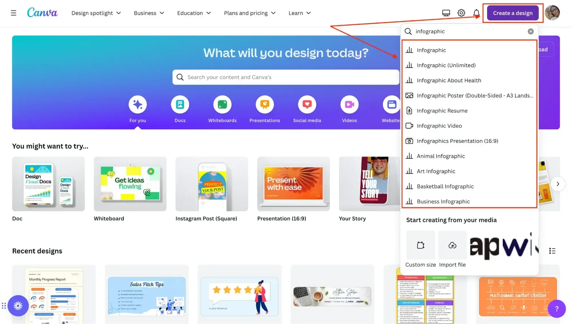 choosing a blank infographic canvas in canva