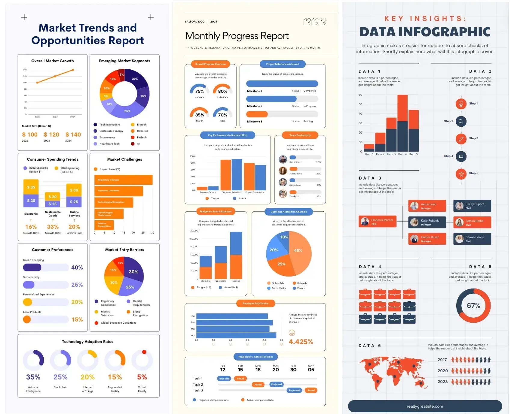 examples of complex infographic templates in canva