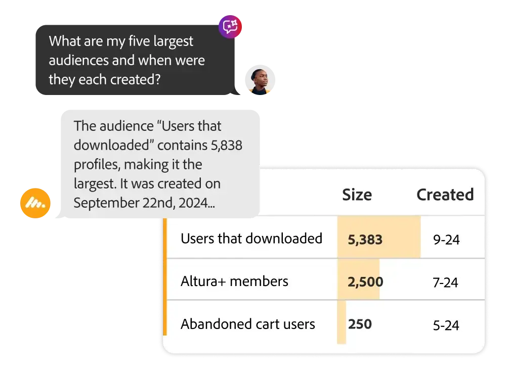 customer intelligence platform: Adobe Experience Platform 