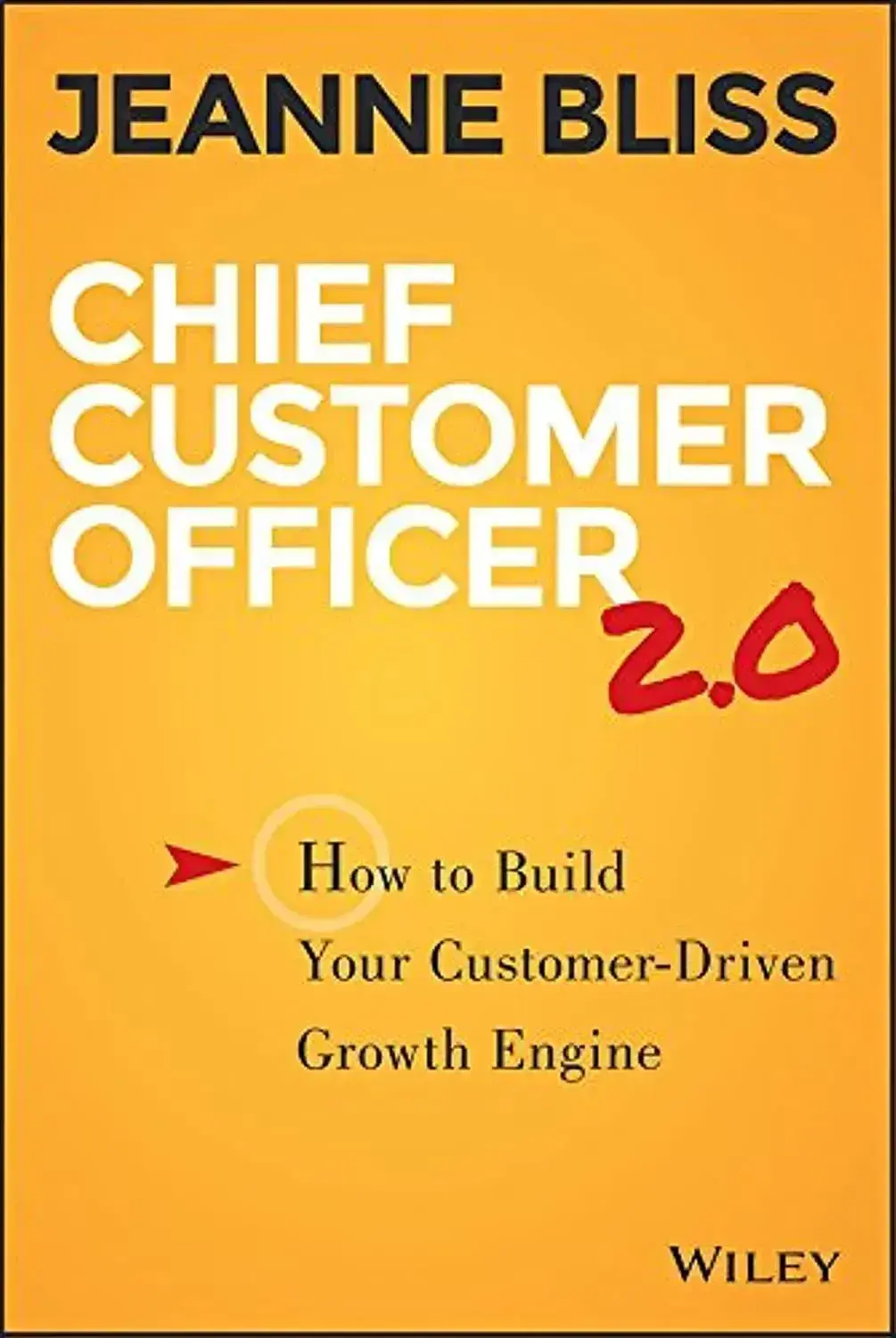 customer service leadership books, chief customer officer 2.0