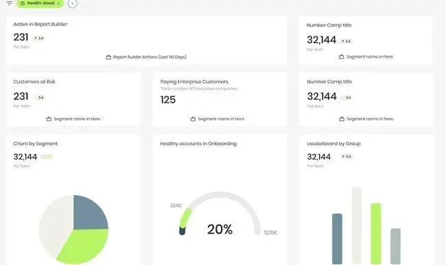 Customer success management tools in Totango, a customer success platform, showing risk, churn, health, and segments.