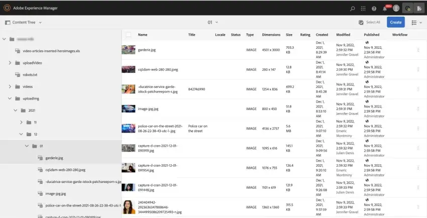 digital content management: adobe experience manager