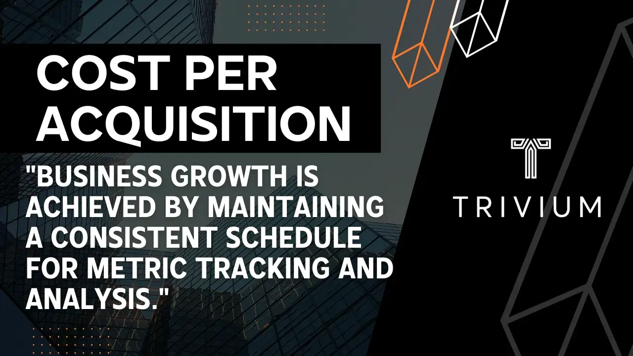 cost per acquisition is an important ecommerce website performance metric.