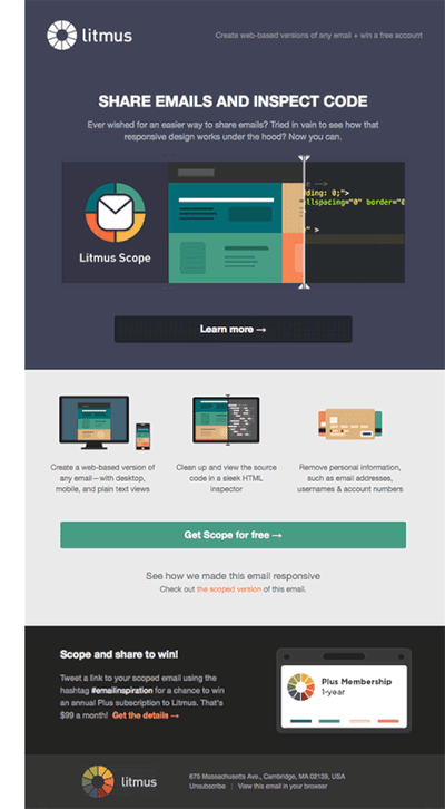 email marketing campaign; litmus