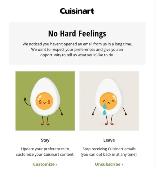 email marketing campaign; cuisinart